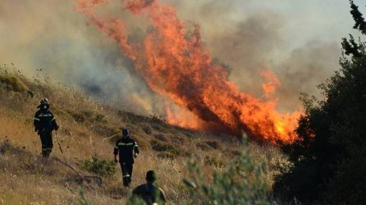 Βίντεο: Πυρκαγιά σε δασική έκταση στην Κεφαλονιά